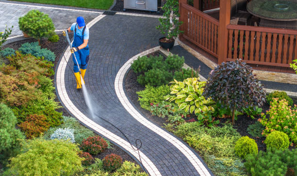 Best Local Pressure Washing Services  in Marion, WI